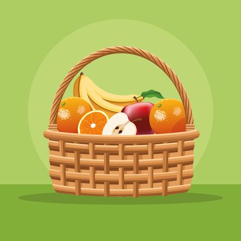 Fruits and vegetables in basket vector