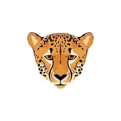 Vector illustration of a cheetah head.