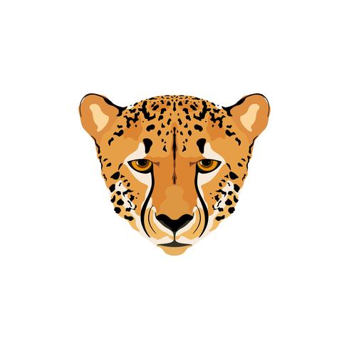 Vector illustration of a cheetah head.