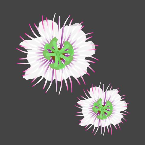 Flor hermosa ilustración vectorial vector