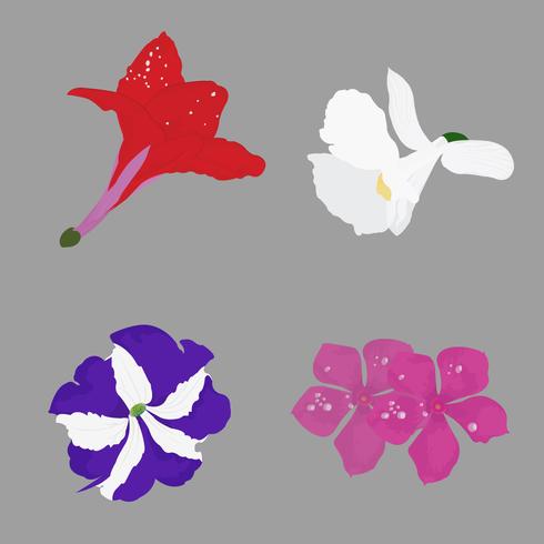 Beautiful Wiled flower Realstic Vector Illustration