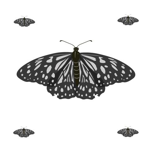 Realstic Flying Butterfly Vector Illustration