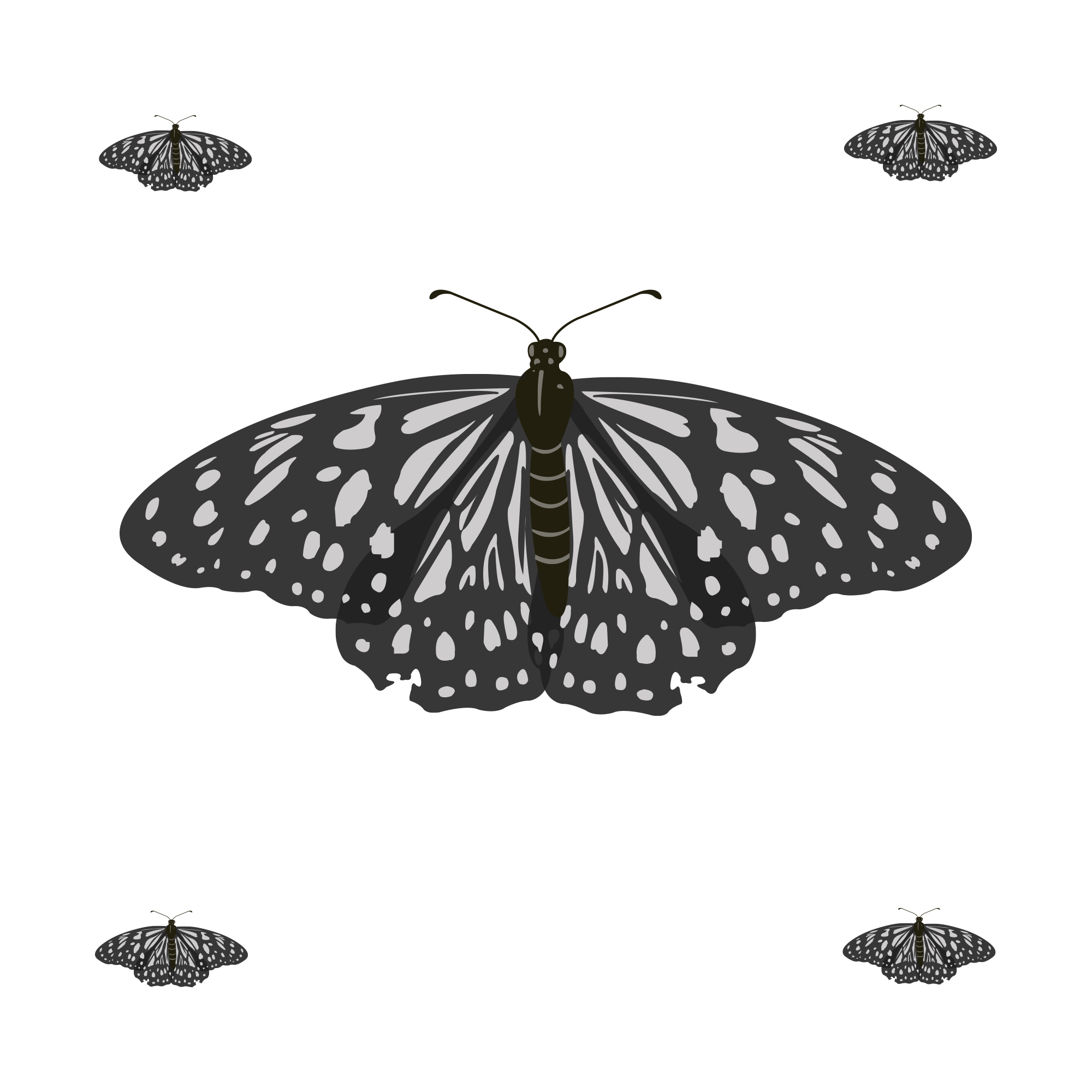 Free Free 105 Flying Butterfly Svg Free SVG PNG EPS DXF File