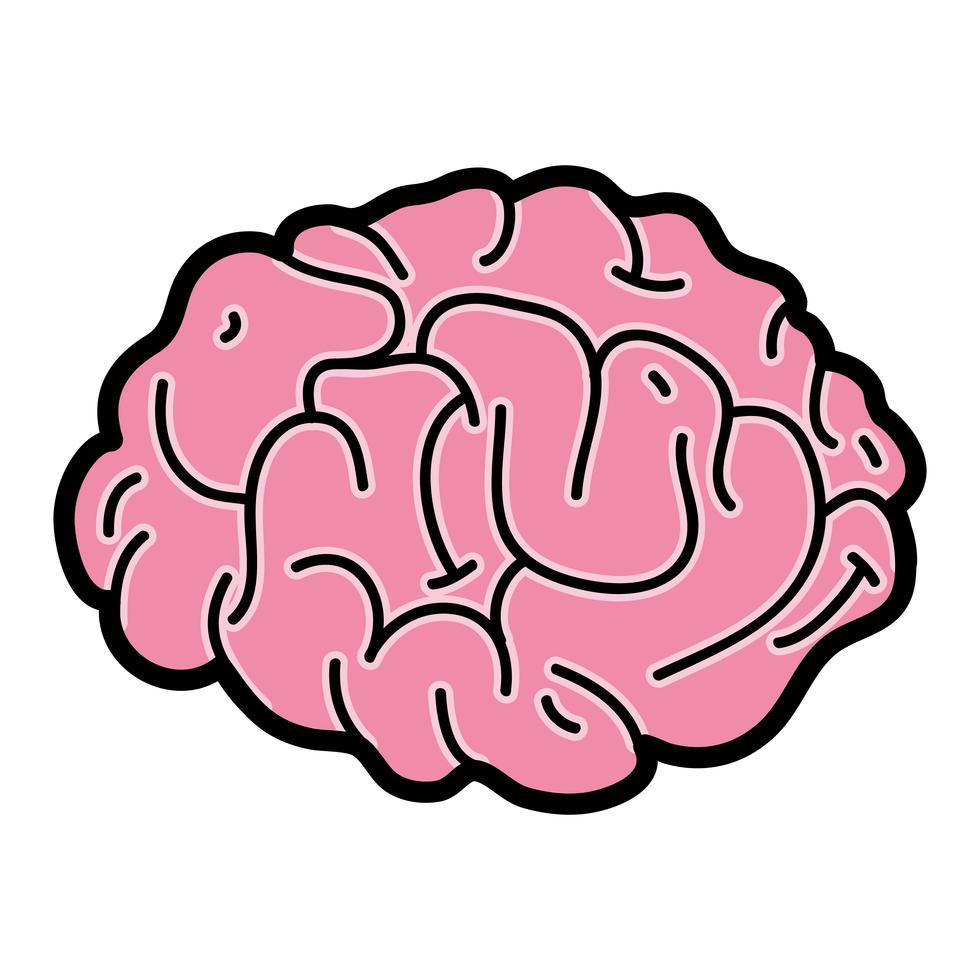 Human Brain Anatomy To Creative And Intellect 655449 Vector Art At Vecteezy