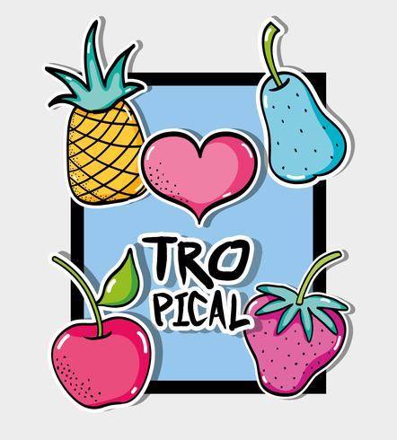 deliciosos parches tropicales diseño de frutas vector