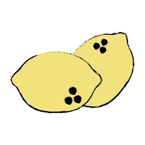 doodle delicious lemons organic fruit food