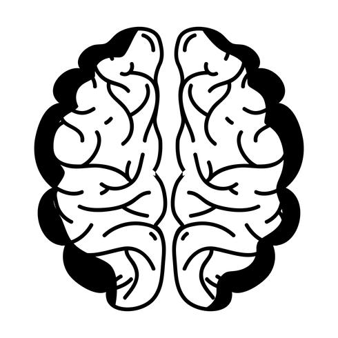 contour human brain anatomy to creative and intellect vector