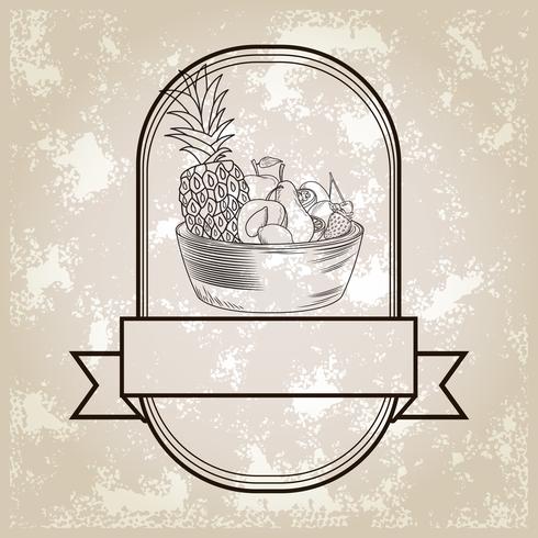 hand drawn fruits vector