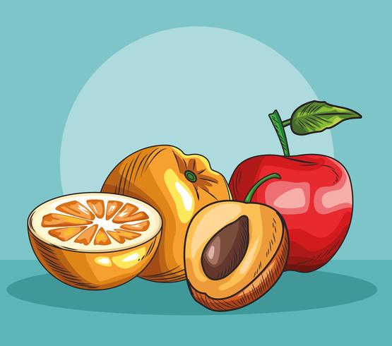 hand drawn fruits vector