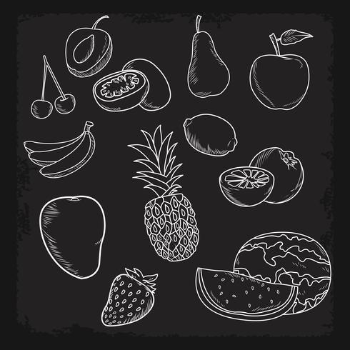 hand drawn fruits vector