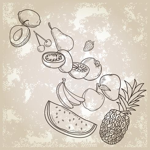 hand drawn fruits vector