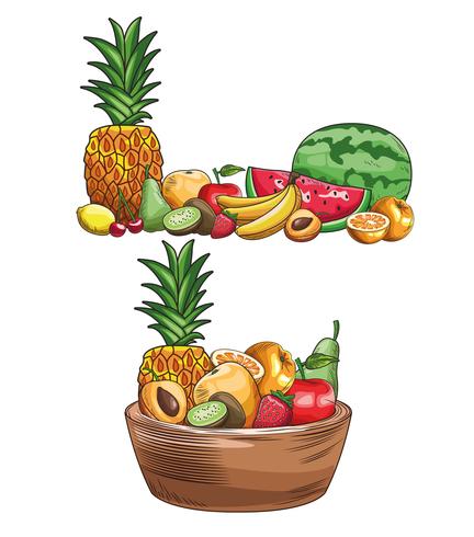 hand drawn fruits vector