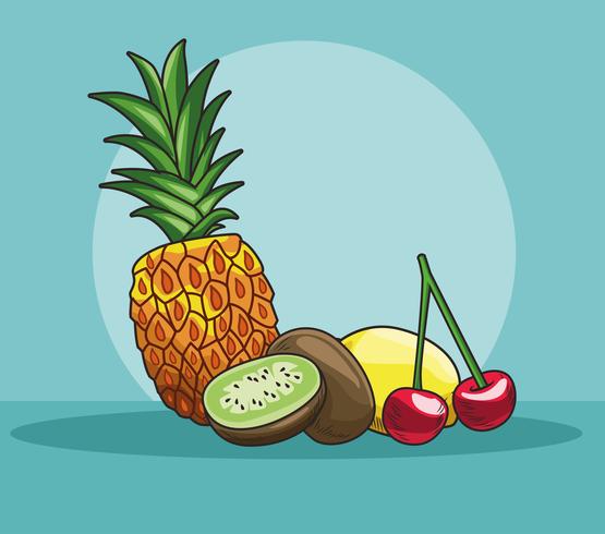 hand drawn fruits vector