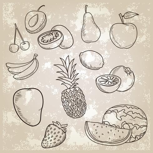 hand drawn fruits vector