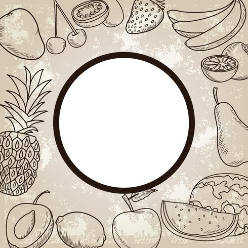 hand drawn fruits vector