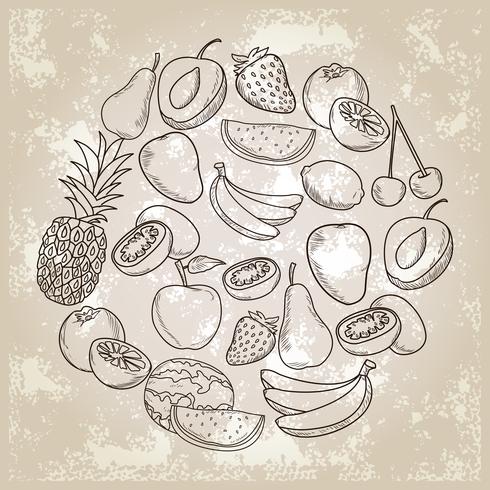 hand drawn fruits vector