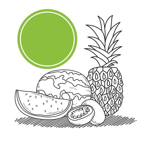 hand drawn fruits vector