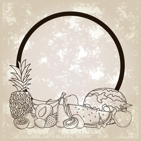 hand drawn fruits vector