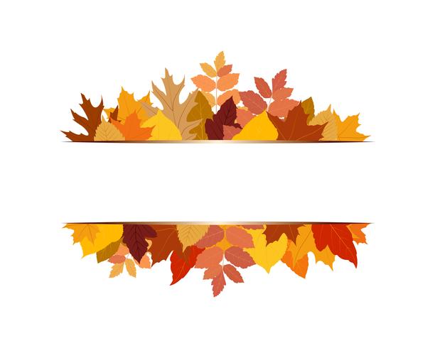 Vector illustration of various colorful autumn leaves with banner on white background