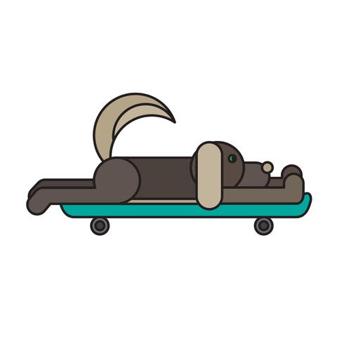 Dog sitting on a skateboard vector