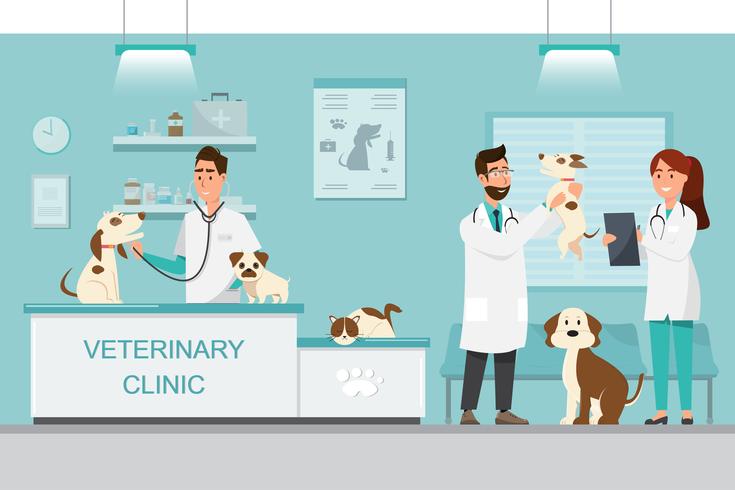 Veterinario y médico con perro y gato en mostrador en clínica veterinaria vector