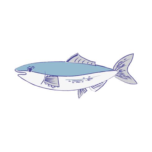 delicious seafood fish with natural nutrition vector