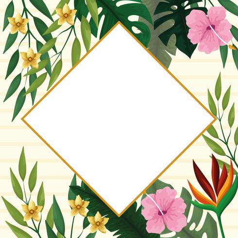 Summer diamond frame with tropical flowers vector