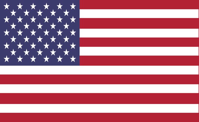 USA flag backdrop vector