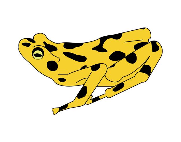 Golden frog vector