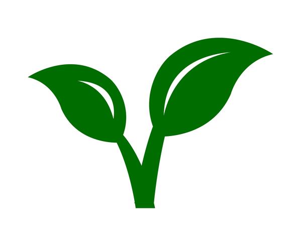 Green leaves plant on white vector