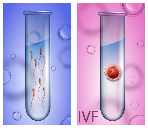 Elementos de fertilización in vitro vector