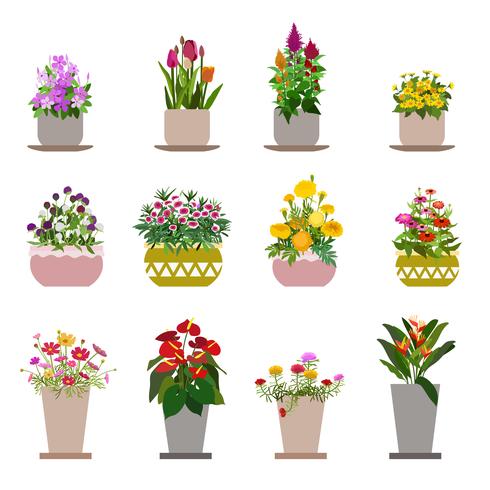 Diverse Flowers In Pots, Isolated On White Background vector