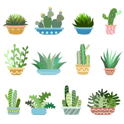 Cacti in Pots Set vector