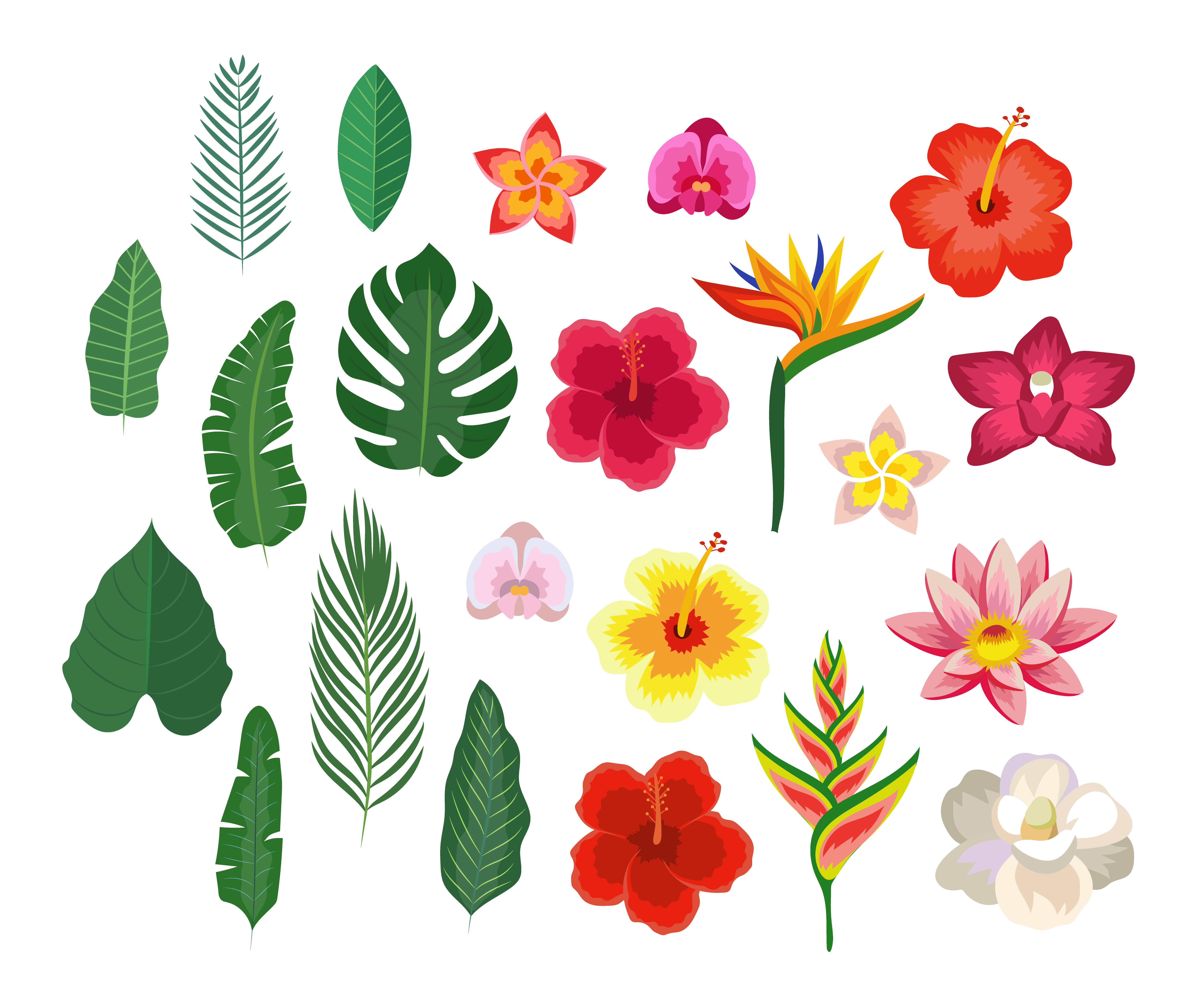 Tropical Flowers And Leaves Collection Download Free Vectors Clipart Graphics Vector Art