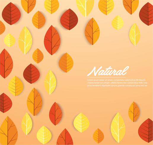 Autumn leaves template  vector