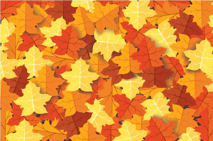 Autumn maple leaves background vector illustration 