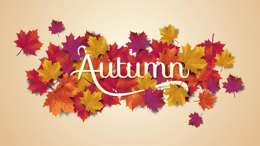 Autumn Typography Greeting Card vector