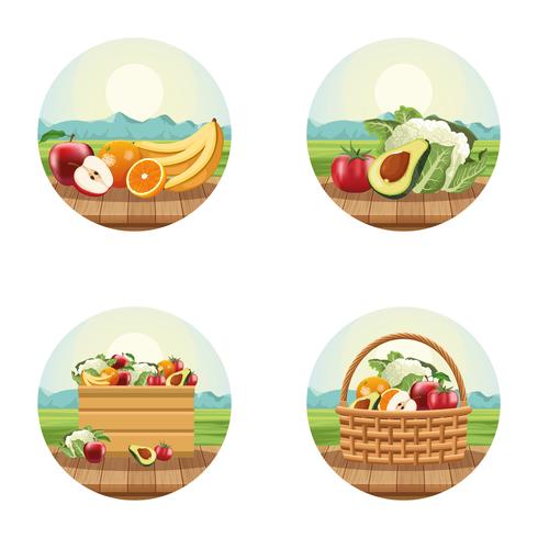 Fruits and vegetables vector