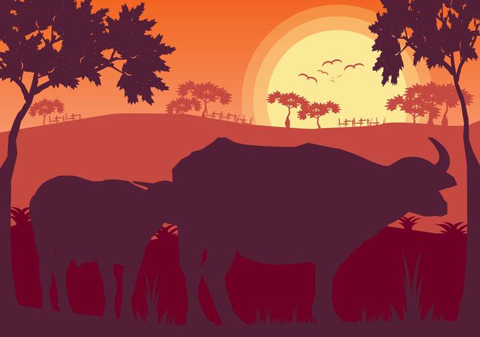 Buffalo in grassland meadow landscape vector