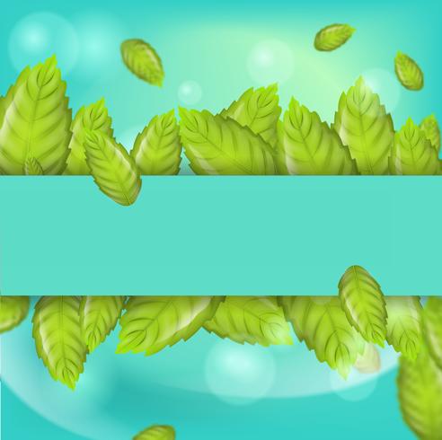 realistic illustration horizontal mint leaves vector