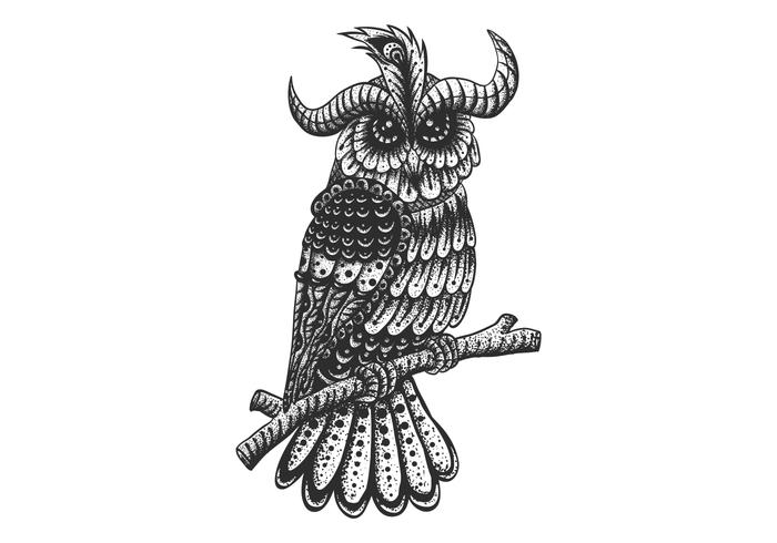 vintage owl decoration vector