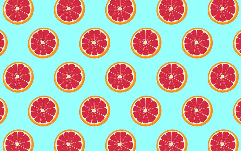 Grapefruit Pattern  vector