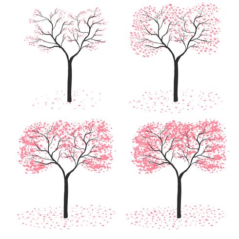 sakura tree season vector