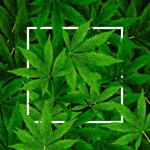 Fondo de hoja de marihuana o cannabis vector