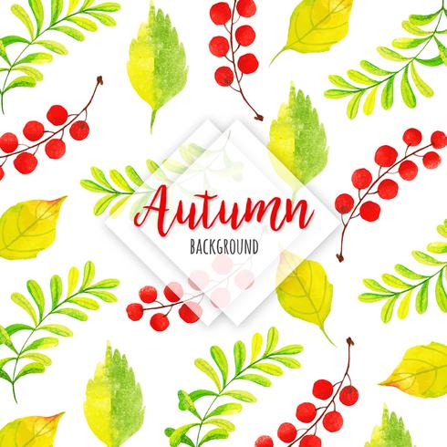 Red Berry Beautiful Watercolor Autumn Leaves Background vector