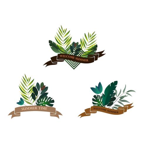 Set of tropical ribbons vector