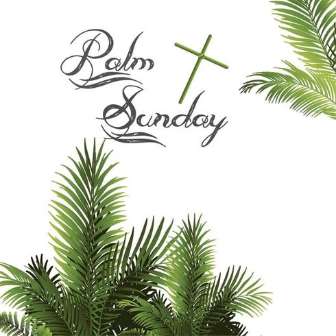 Palm Sunday Palms Leaves Background vector