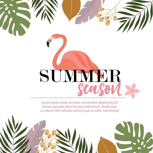 Flamingo Summer card design vector