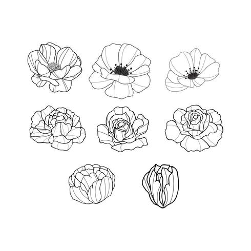 Hand drawn flowers collection vector