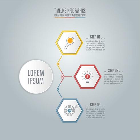 Timeline infographic business concept with 3 options. vector